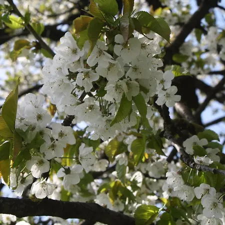 Nocleg ze śniadaniem De Melkfabriek