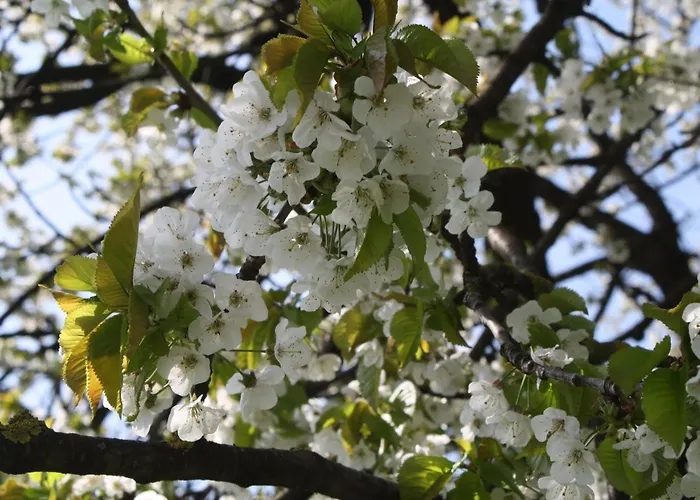 فندق مبيت وإفطار De Melkfabriek